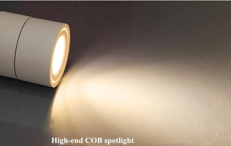 Atlas COB Ceiling Light | Modern Interior Home Lighting
