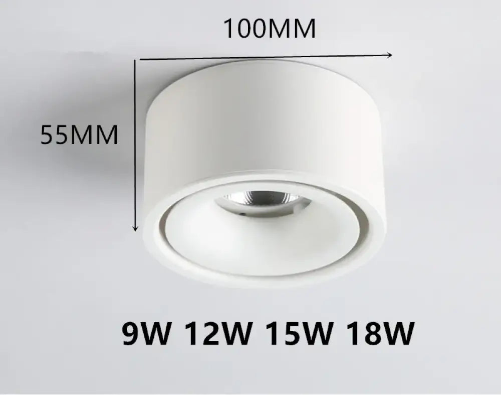 Atlas COB Ceiling Light | Modern Interior Home Lighting