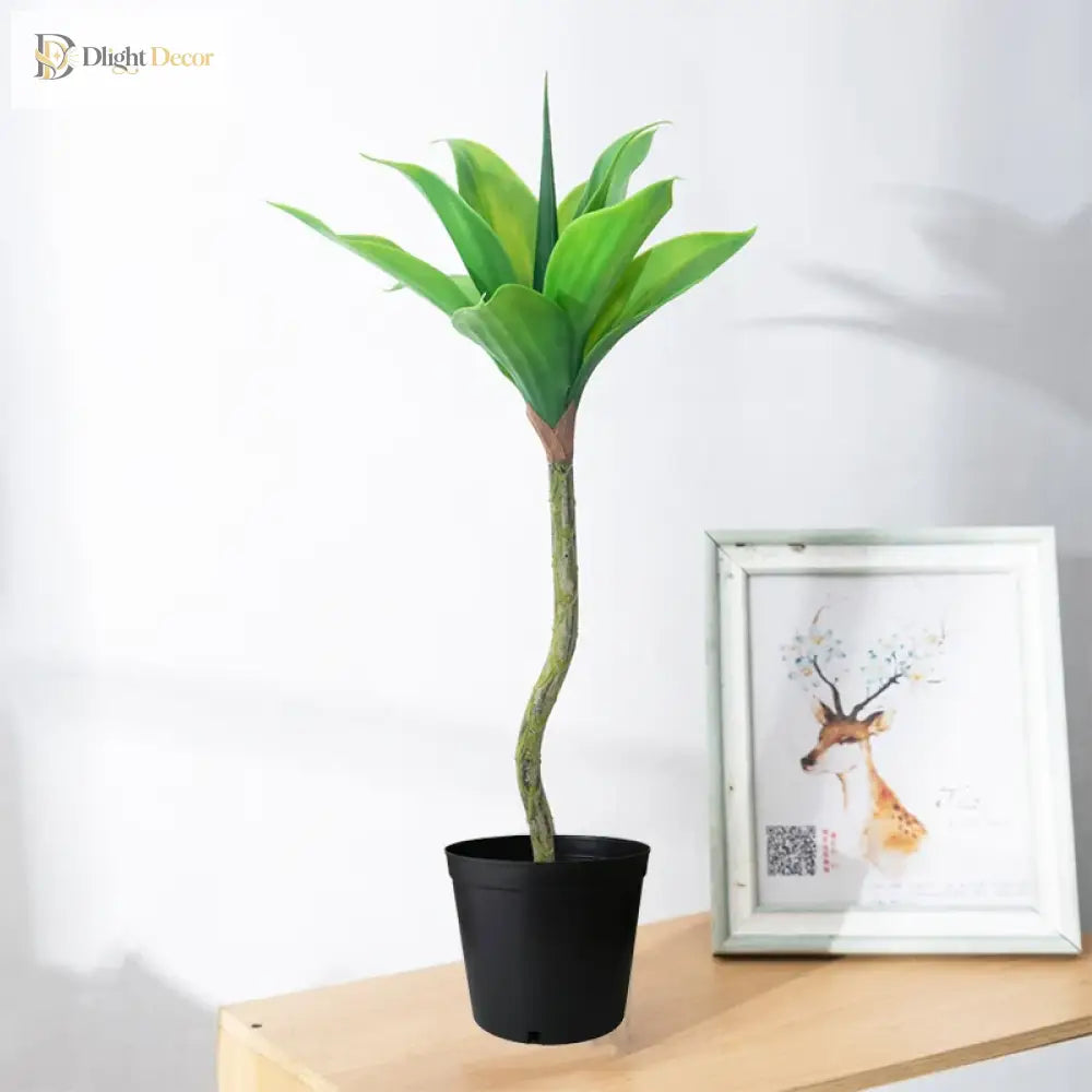 Dlight Decor Agave Succulent Plant for Home and Balcony Display