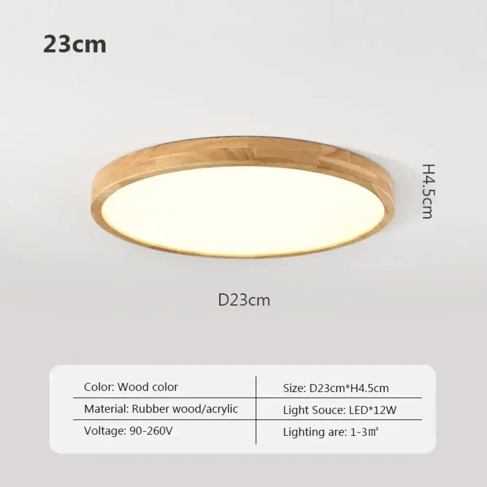 LED Nordic Modern Ceiling Light | Modern Bedroom Lighting