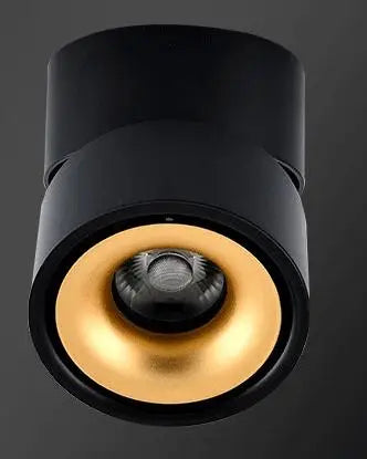 Atlas COB Ceiling Light | Modern Interior Home Lighting