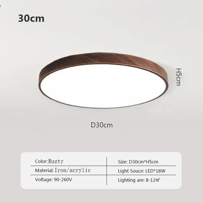 LED Nordic Modern Ceiling Light | Modern Bedroom Lighting