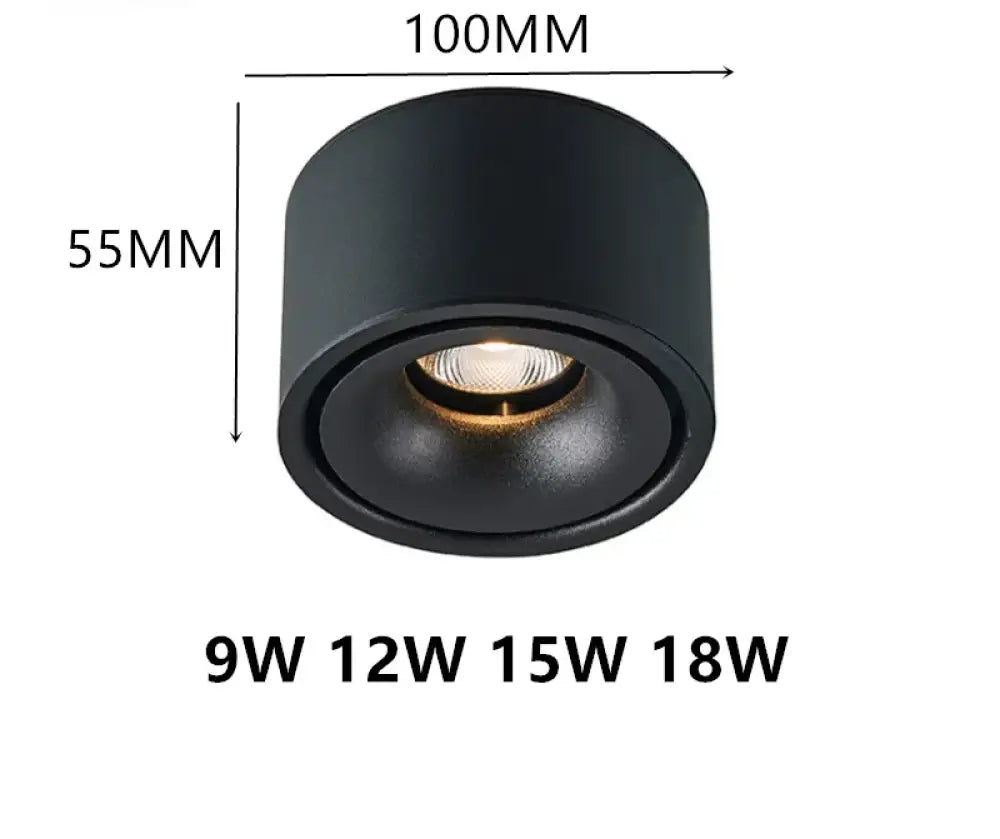 Atlas COB Ceiling Light | Modern Interior Home Lighting
