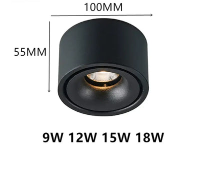 Atlas COB Ceiling Light | Modern Interior Home Lighting