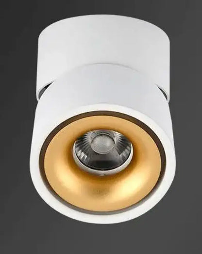 Atlas COB Ceiling Light | Modern Interior Home Lighting