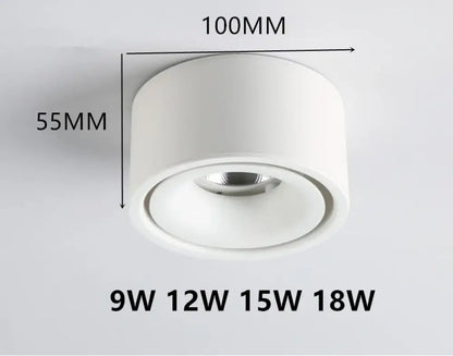 Atlas COB Ceiling Light | Modern Interior Home Lighting
