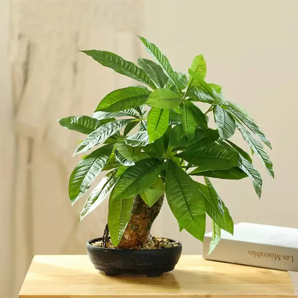 Dlight Decor 43cm Potted Monstera Money Tree for Home and Garden Decor