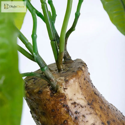 Dlight Decor 43cm Potted Monstera Money Tree for Home and Garden Decor