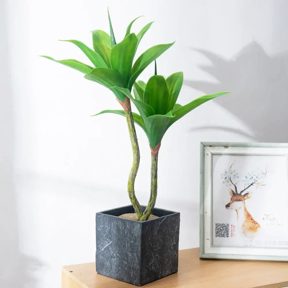 Dlight Decor Agave Succulent Plant for Home and Balcony Display
