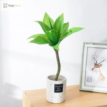 Dlight Decor Agave Succulent Plant for Home and Balcony Display