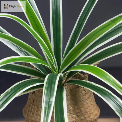Dlight Decor Bracketplant Palm for Home and Garden Display