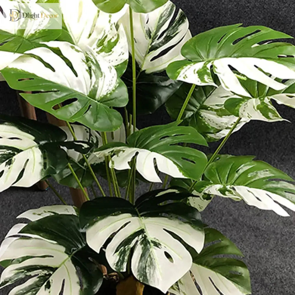Dlight Decor Monstera Turtle Leaf Plant for Indoor and Garden Display