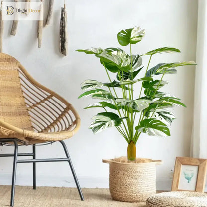 Dlight Decor Monstera Turtle Leaf Plant for Indoor and Garden Display
