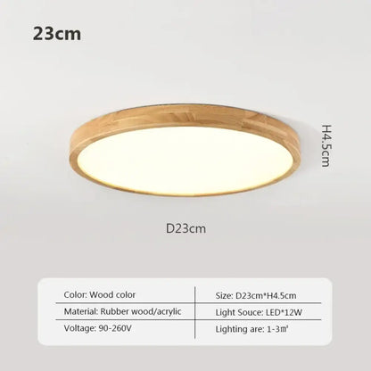 LED Nordic Modern Ceiling Light | Modern Bedroom Lighting