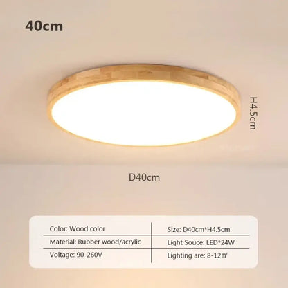 LED Nordic Modern Ceiling Light | Modern Bedroom Lighting