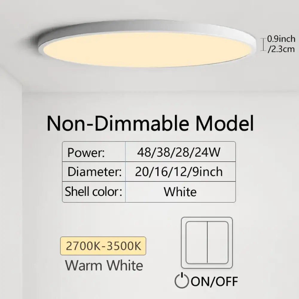 Ultra LED Dimmable Ceiling Light | Modern Interior Lighting